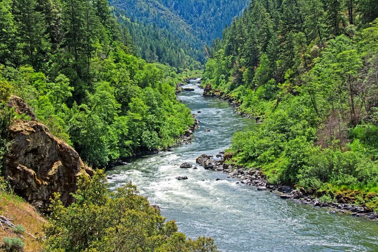 Rafting on the Rogue River