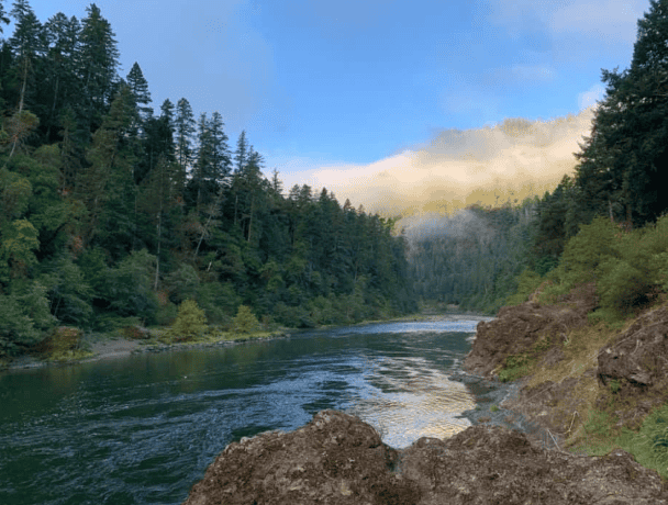 Morning fog lifting over the forested canyon of the Wild and Scenic Rogue River